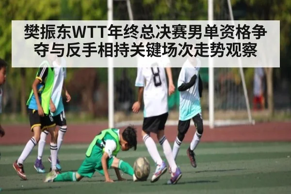 樊振东WTT年终总决赛男单资格争夺与反手相持关键场次走势观察